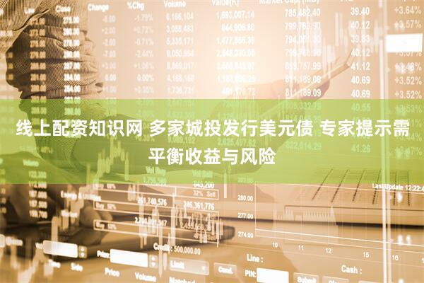 线上配资知识网 多家城投发行美元债 专家提示需平衡收益与风险
