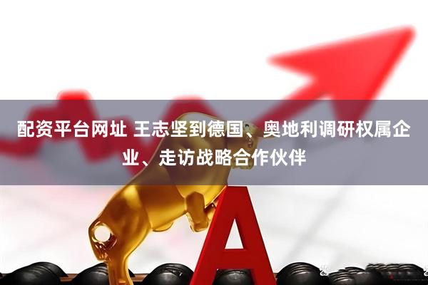 配资平台网址 王志坚到德国、奥地利调研权属企业、走访战略合作伙伴
