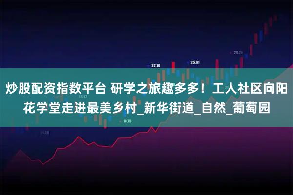 炒股配资指数平台 研学之旅趣多多！工人社区向阳花学堂走进最美乡村_新华街道_自然_葡萄园